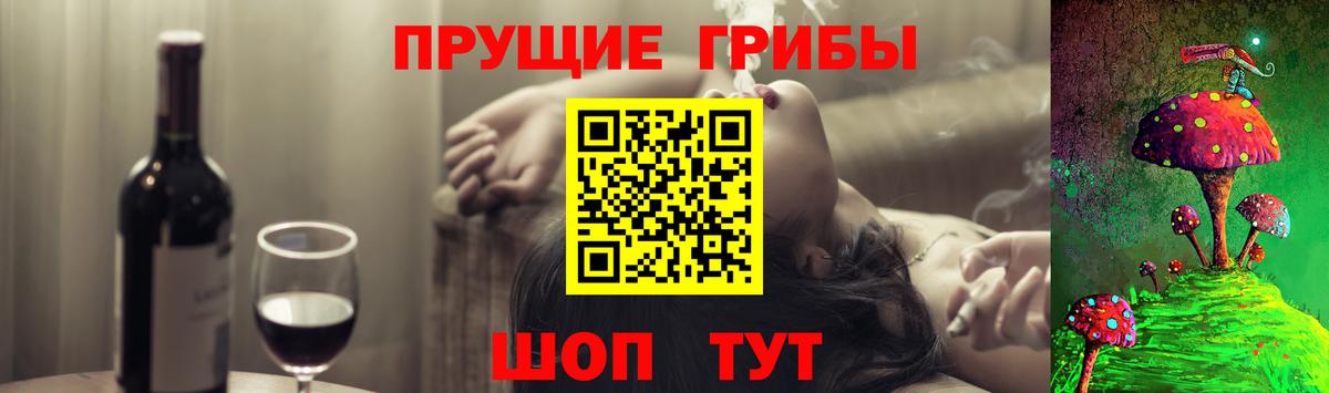 Туапсе  купить   Вход с VPN  Галлюциногенные грибы GOLDEN TEACHER 